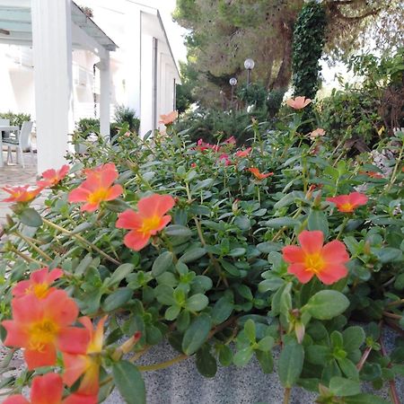 Raggio Di Sole Aparthotel Alberobello Exterior photo